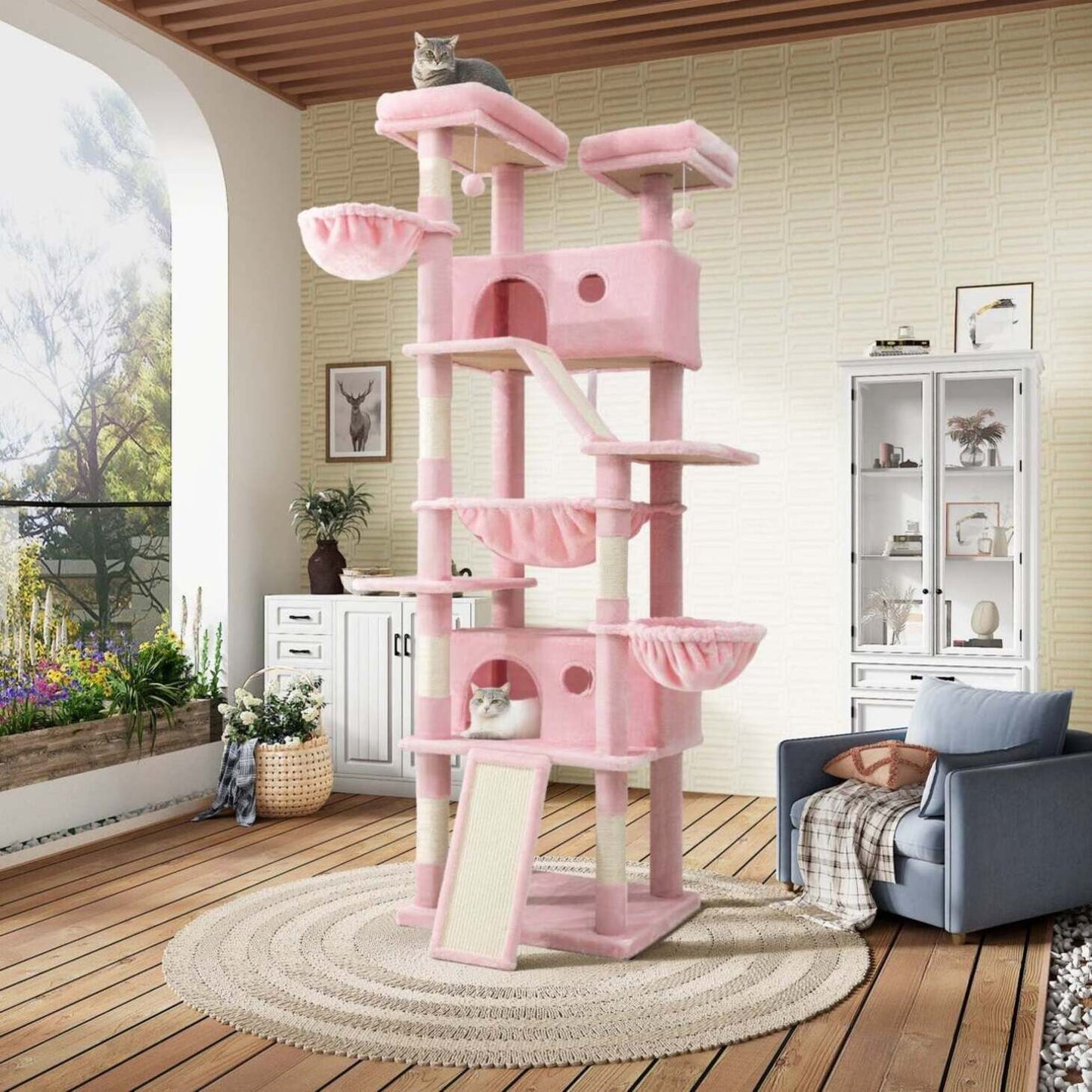 Sky‑High Cat Kingdom