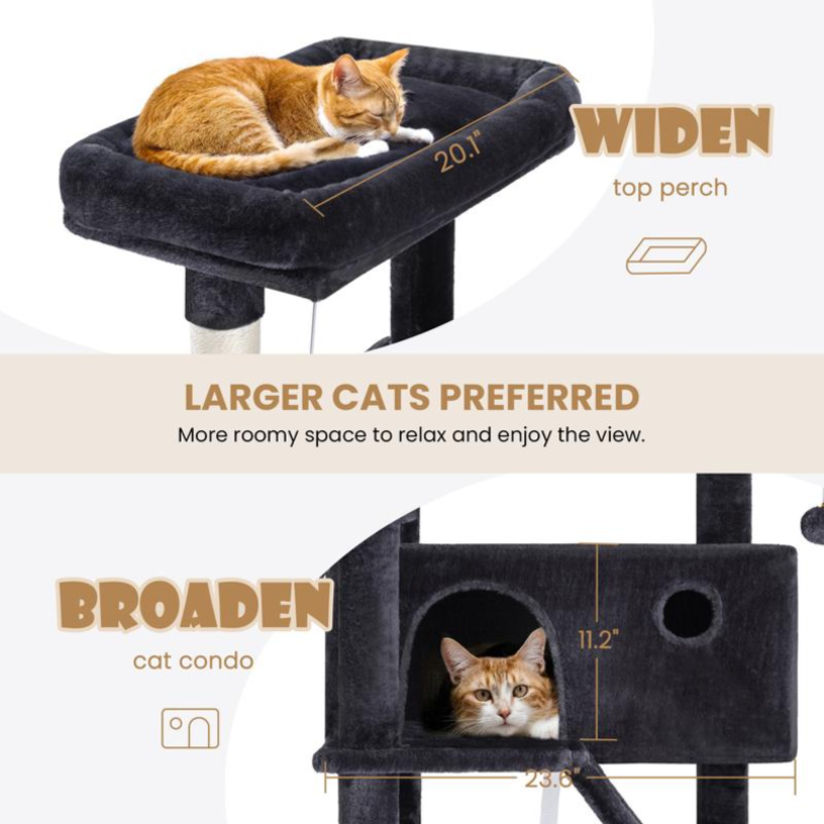 Sky‑High Cat Kingdom