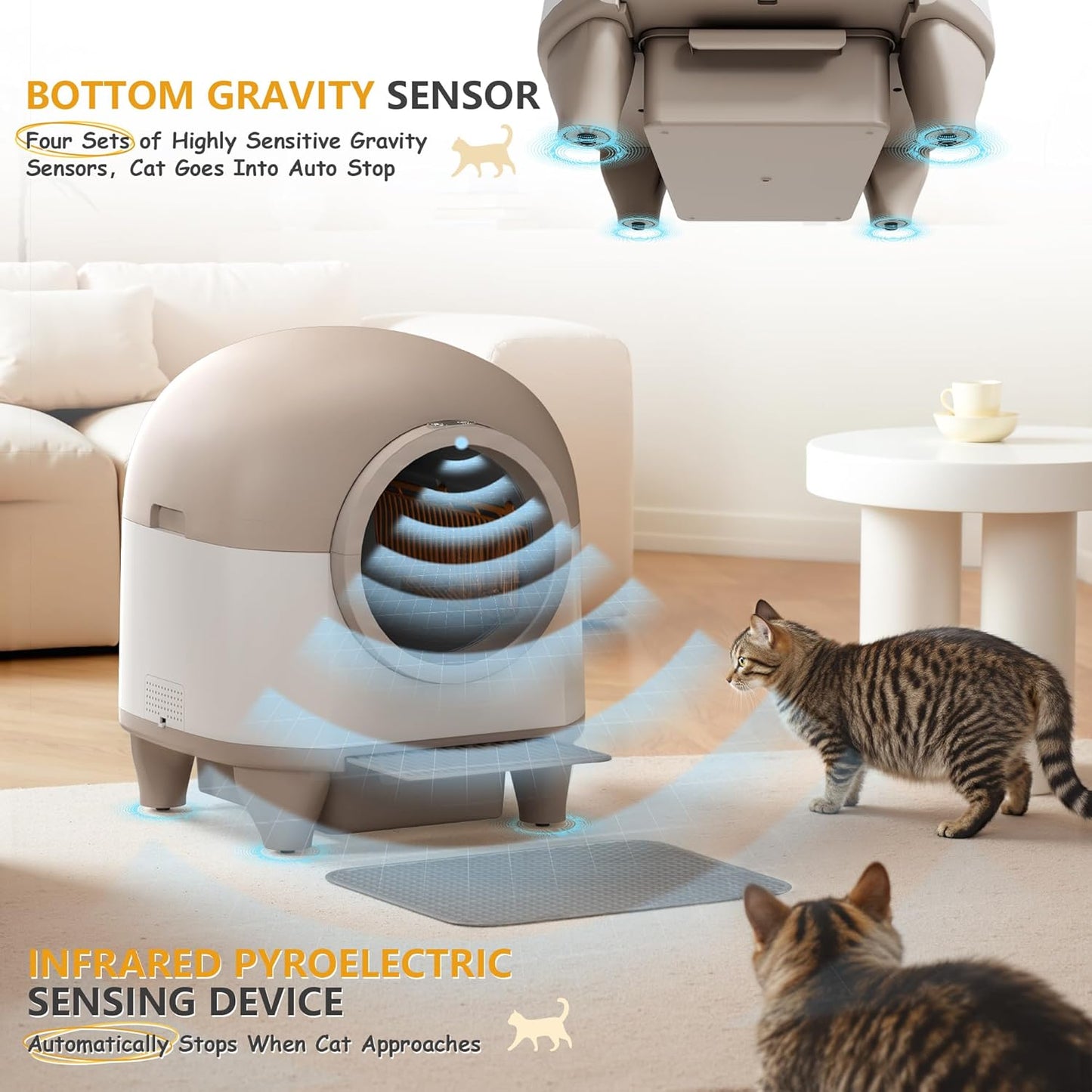 SafeScoop MultiCat Pro