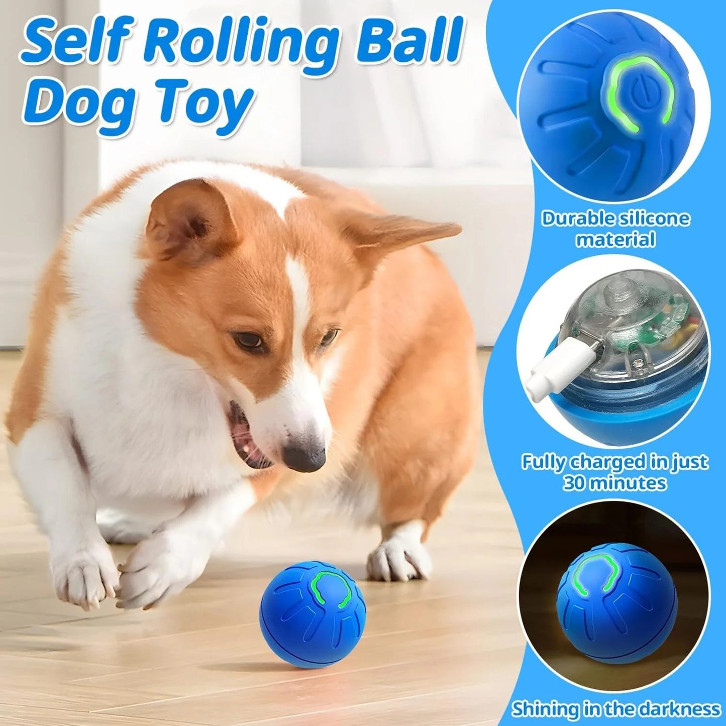 PawMotion Orb