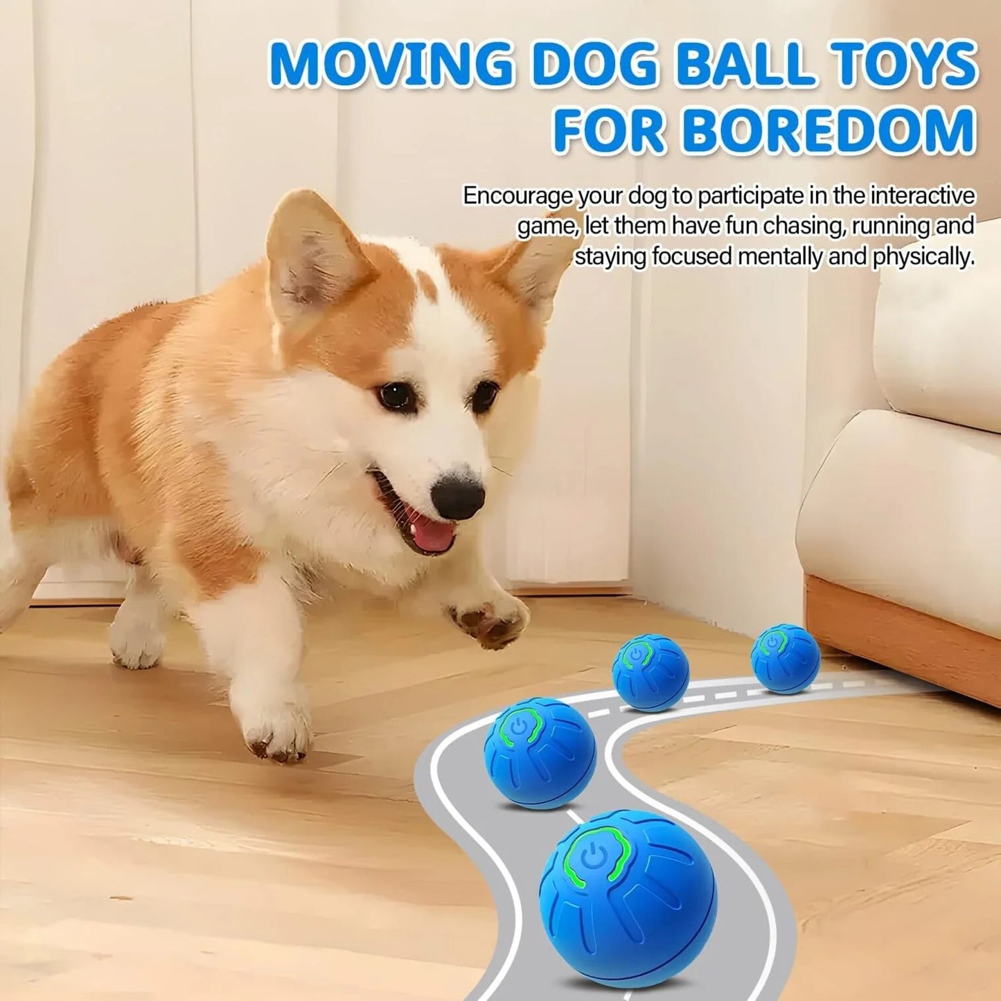 PawMotion Orb