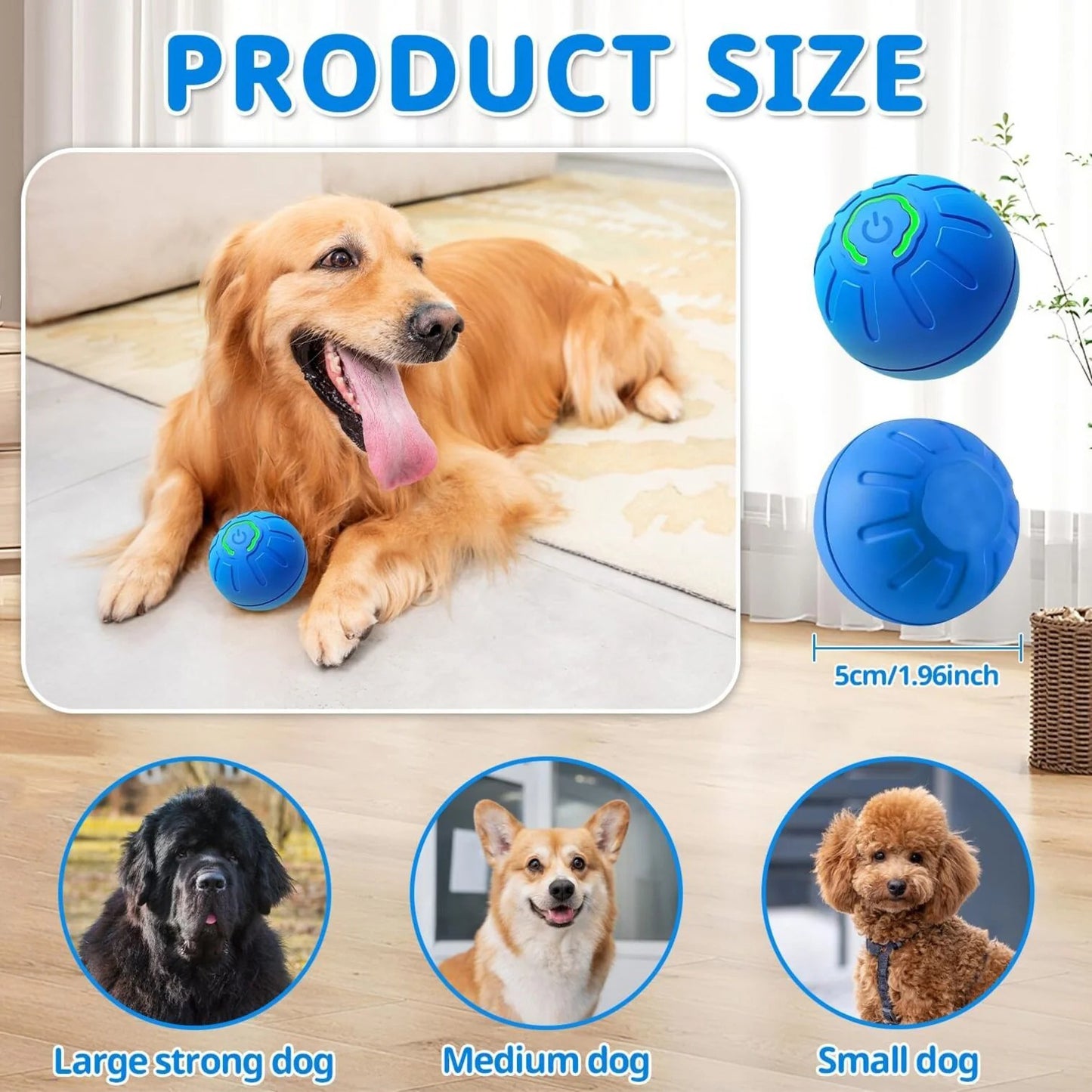 PawMotion Orb