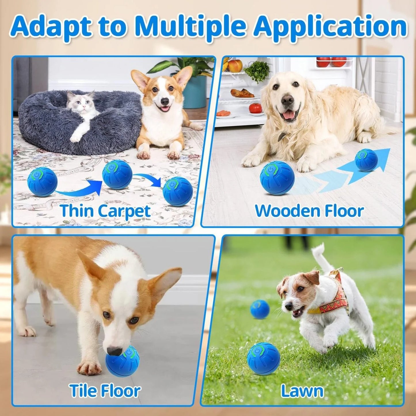PawMotion Orb