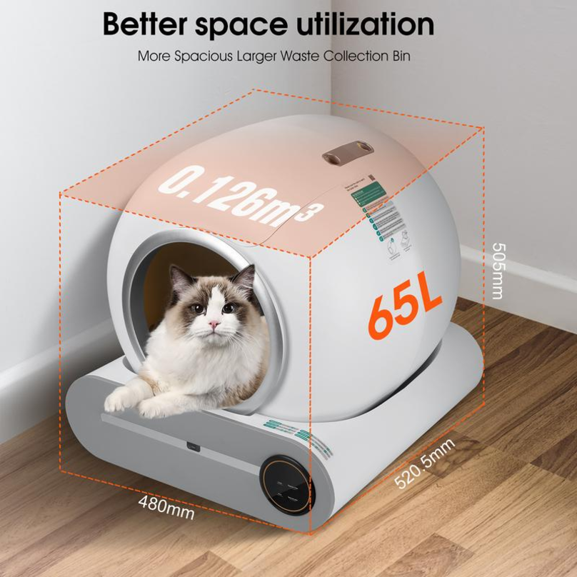 Meow Star Space