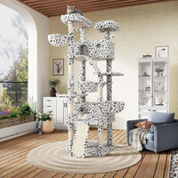 White & Black Spot