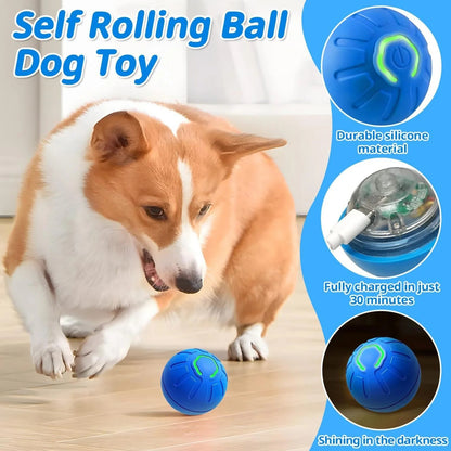 PawMotion Orb