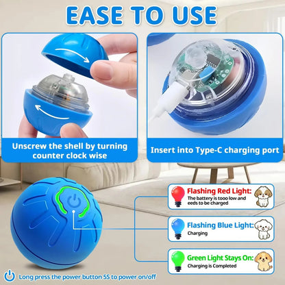 PawMotion Orb