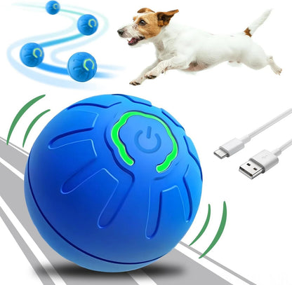 PawMotion Orb