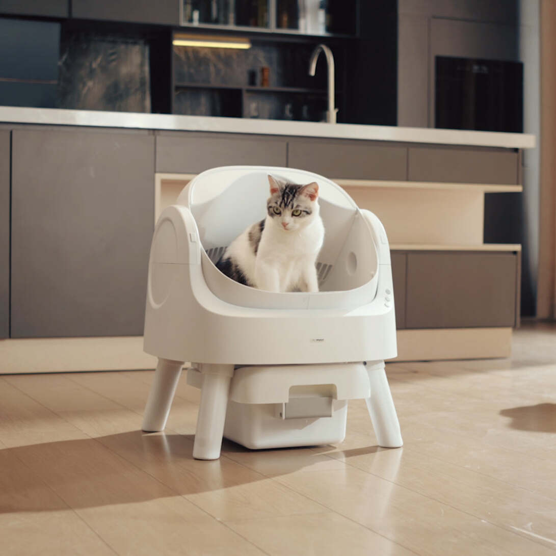 PureFlow Auto CatLoo