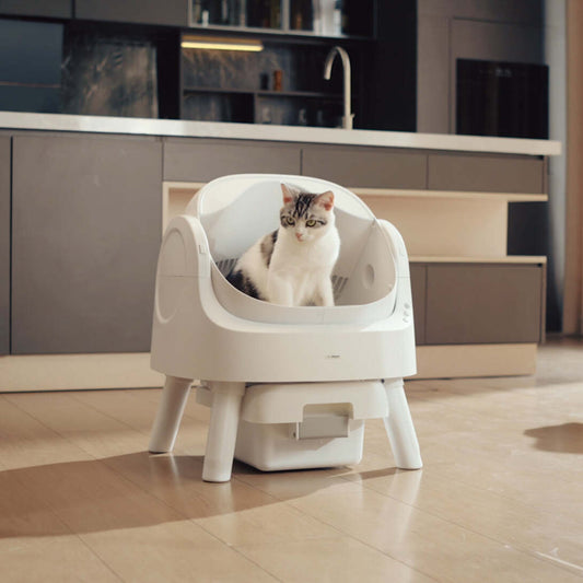 PureFlow Auto CatLoo