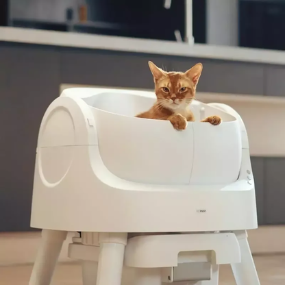 PureFlow Auto CatLoo