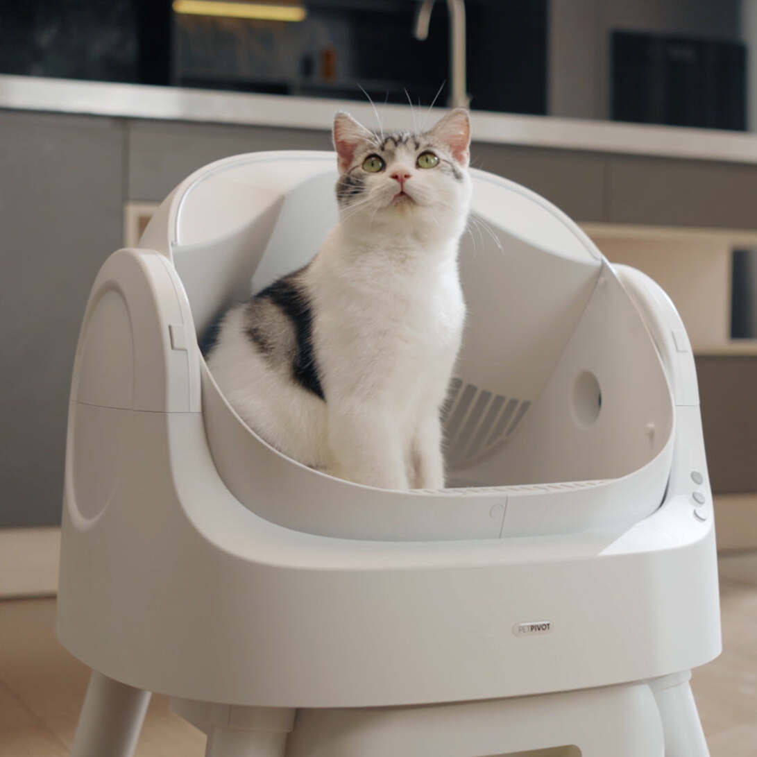 PureFlow Auto CatLoo