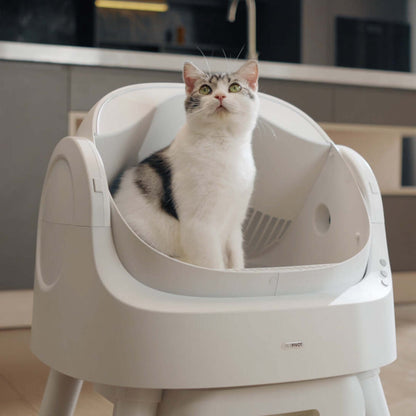 PureFlow Auto CatLoo