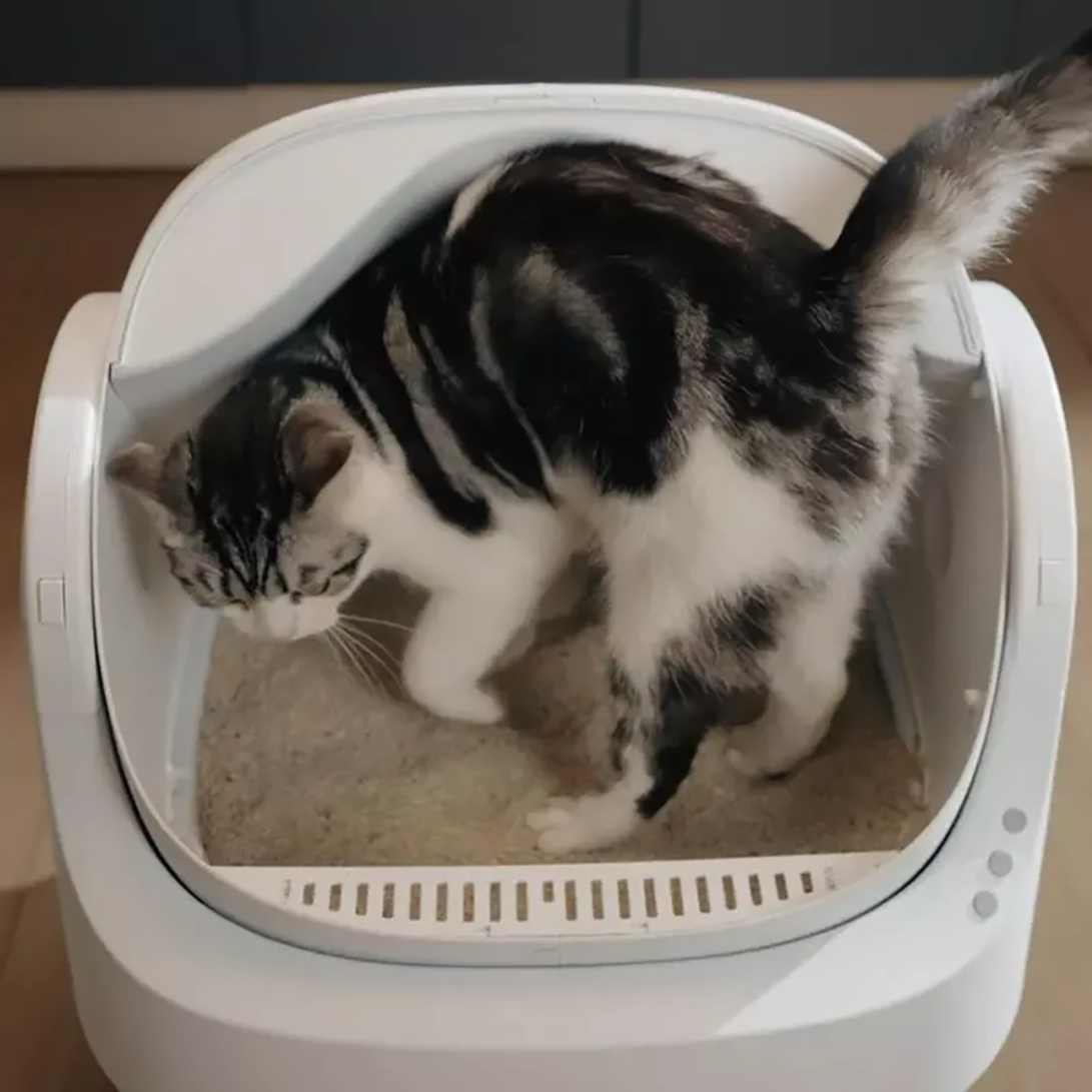 PureFlow Auto CatLoo